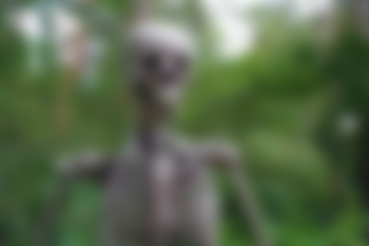 skeleton-1522620_1280_min